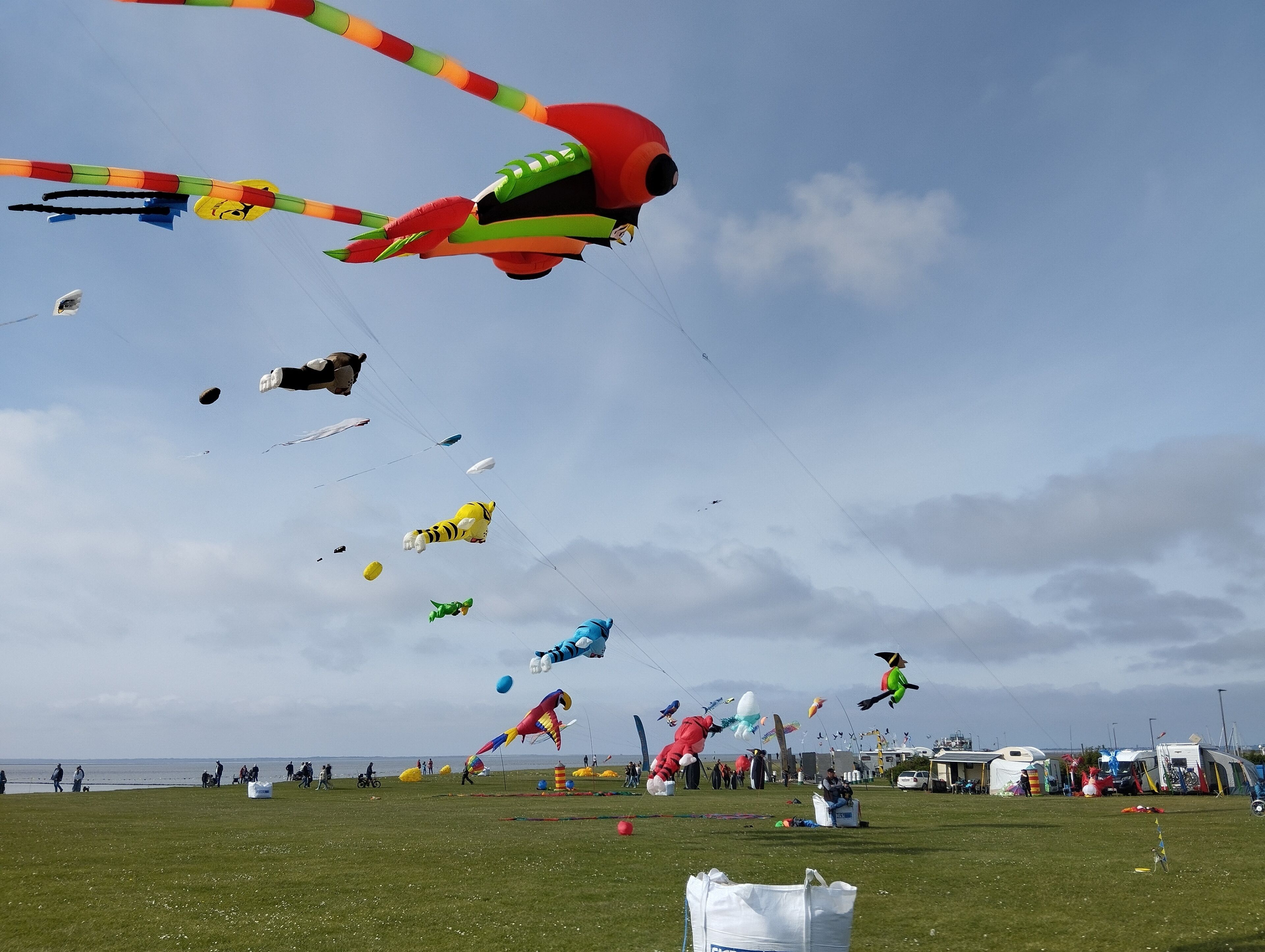 A grassy field with various kites flying in the sky.