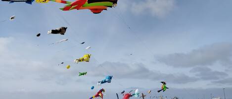 A grassy field with various kites flying in the sky.