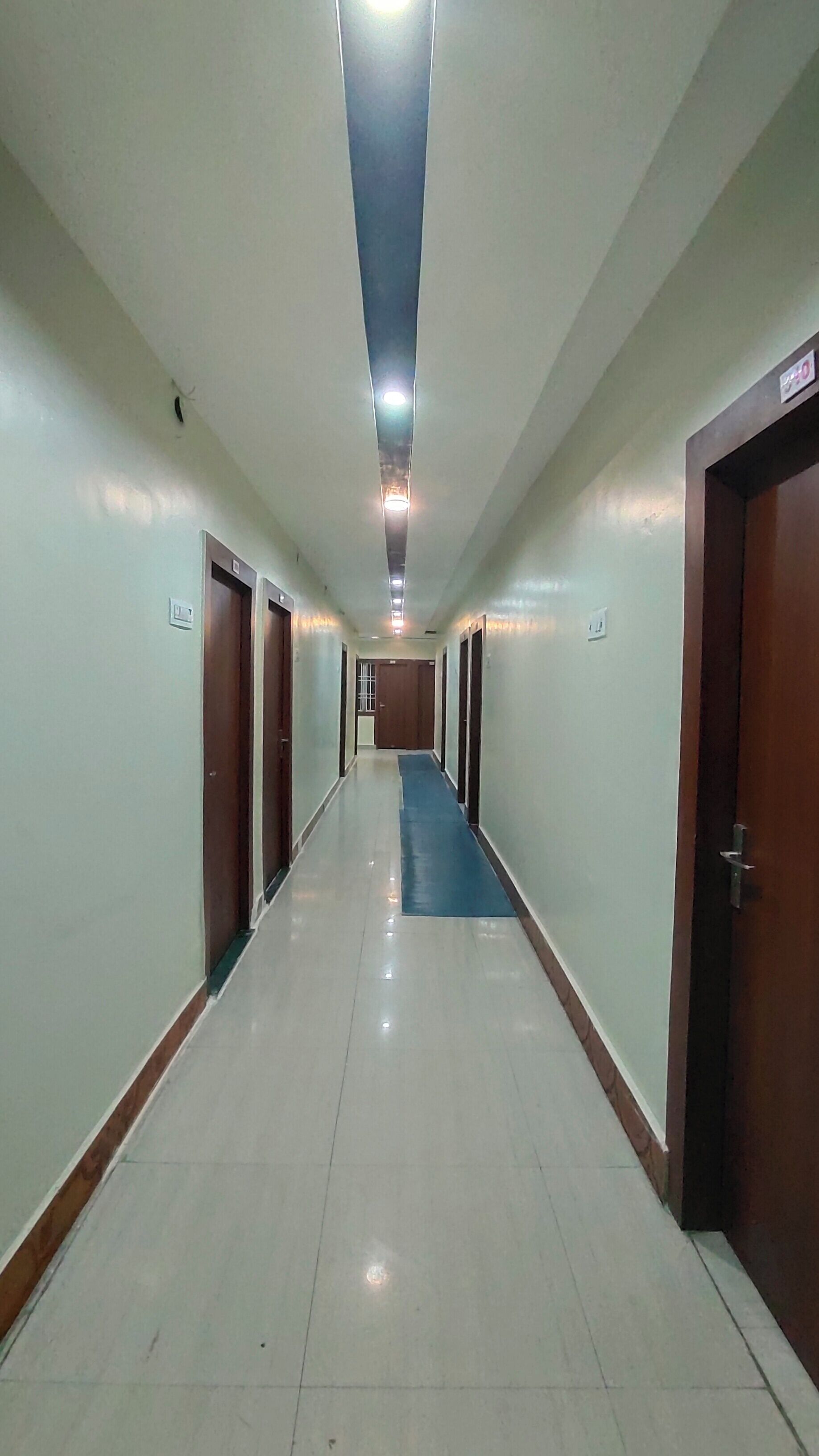 A long, narrow hallway with doors on both sides, a blue carpet, and a ceiling light.