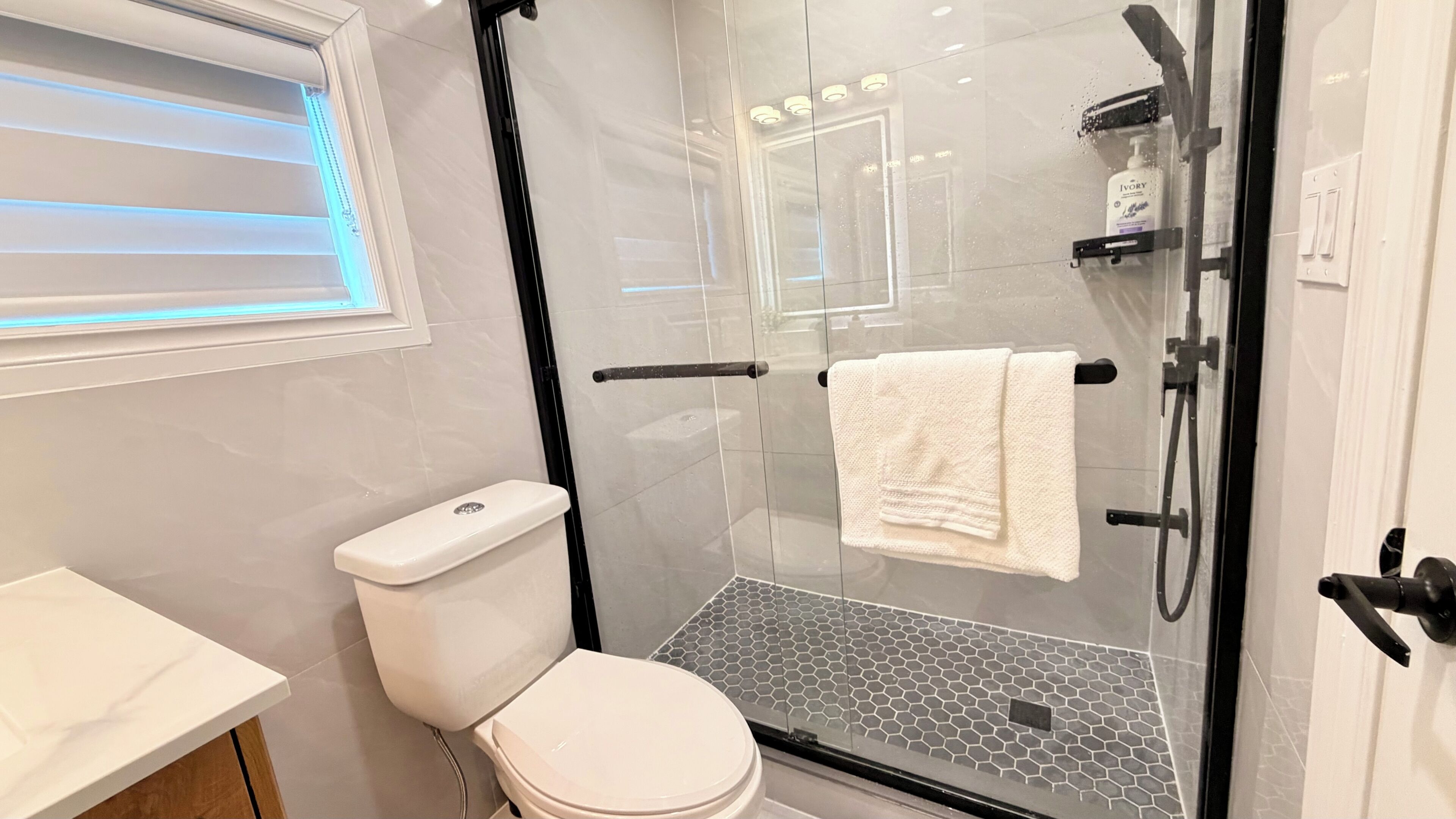 Une salle de bain moderne avec une douche à parois de verre, des toilettes et un lavabo.