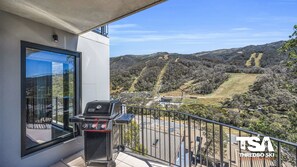 Property grounds - Black Bear 502 - Central Village (Thredbo)