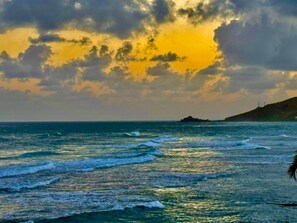 Sun-loungers, beach towels - Flamingo Palms (Christiansted)