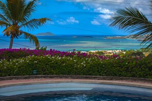 Outdoor pool - Flamingo Palms (Christiansted)
