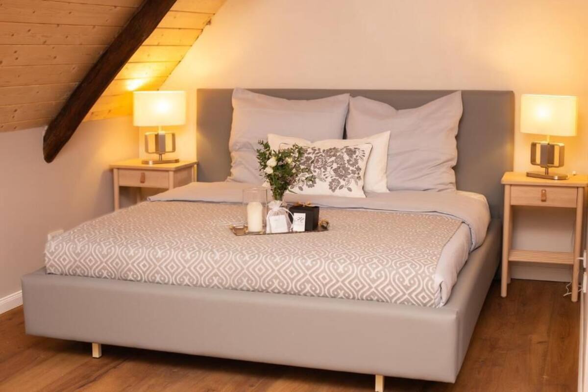 A neatly arranged bedroom with a large bed, two bedside tables with lamps, a decorative pillow, and a bedside plant.