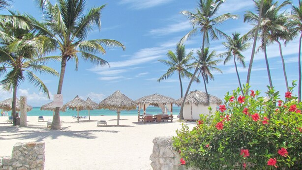 A beach with palm trees, thatched umbrellas, and a clear blue sky. - BRISAS TROPICAL playa LOS CORALES (Punta Cana)