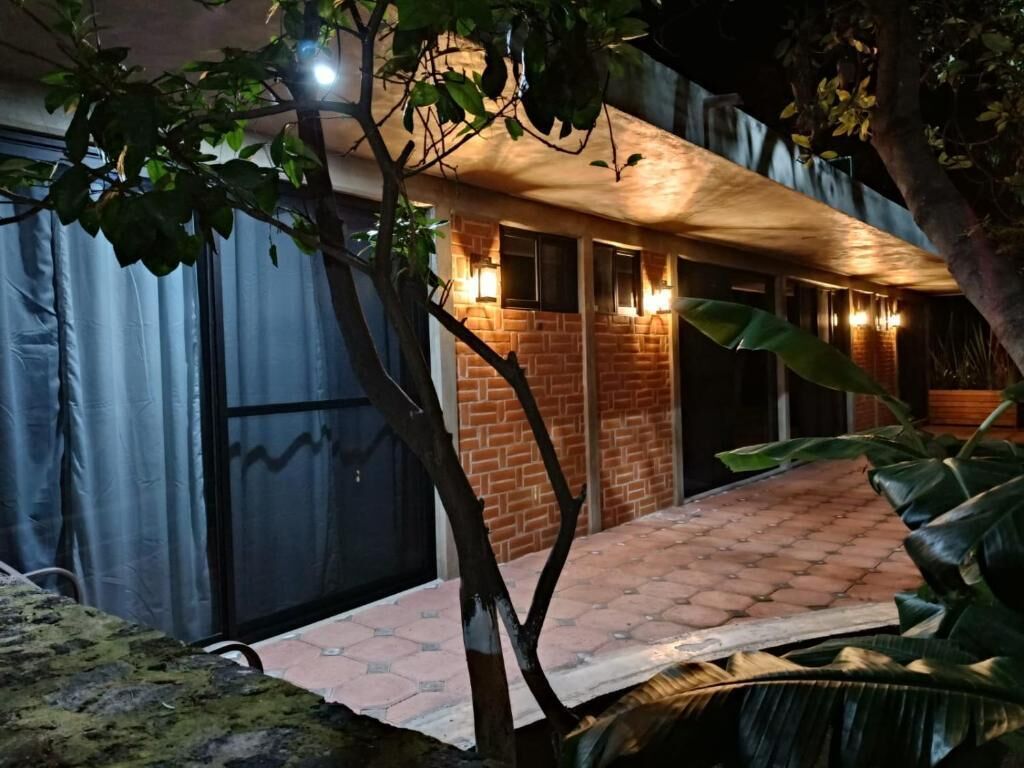 Chambre Quadruple Confort, vue jardin | Détail de l’extérieur