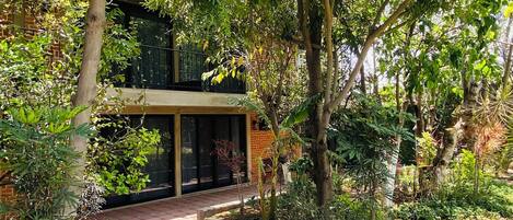 Caminho que leva a um edifício com entrada de vidro, cercado por vegetação exuberante e árvores.