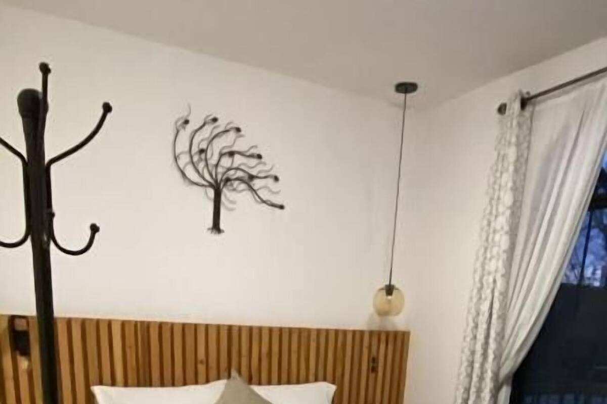 Phòng đôi phong cách cổ điển, quang cảnh sân vườn