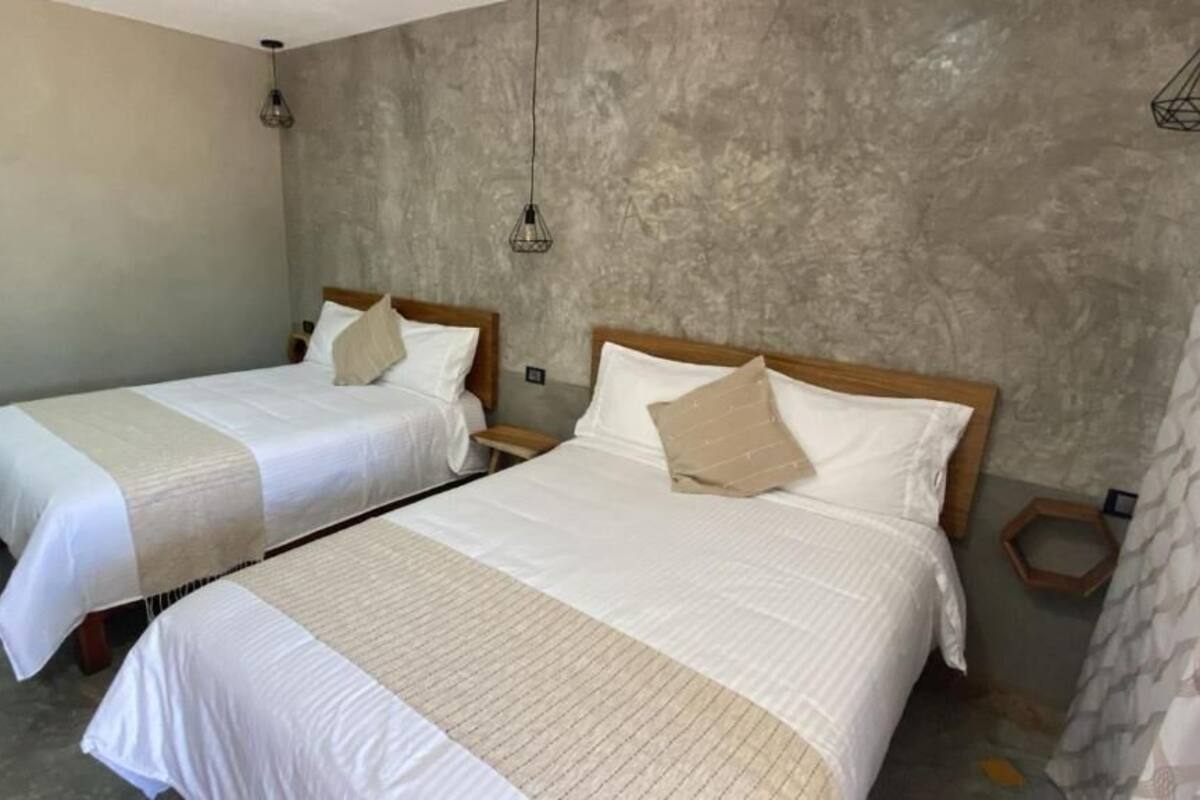 Phòng 4 tiện nghi đơn giản, quang cảnh vườn