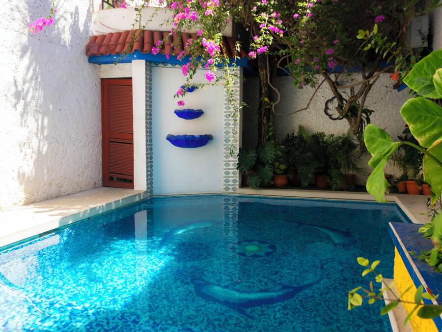 A swimming pool with clear blue water, surrounded by plants and a tiled wall.