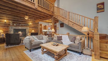TV, fireplace, books