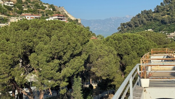 A residential area with houses on a hillside, dense trees, and a clear view of distant mountains.