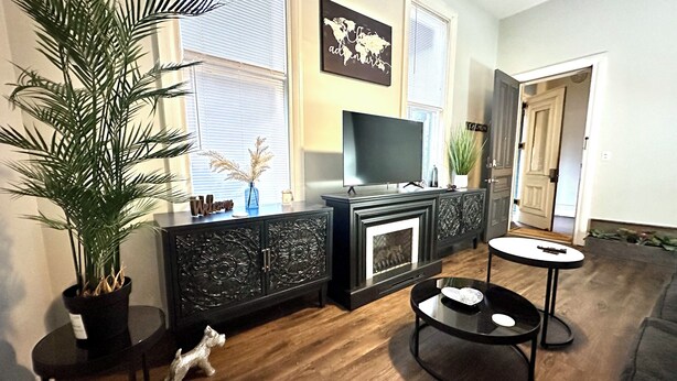 A living room with a fireplace, a TV, a large plant, and a small dog statue.