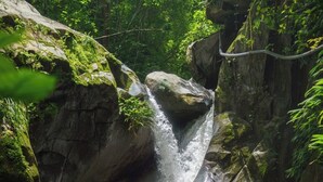 Ein Wasserfall stürzt über Felsen in einem bewaldeten Gebiet.