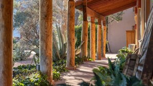 A covered outdoor area with wooden columns, a pathway, and various plants.