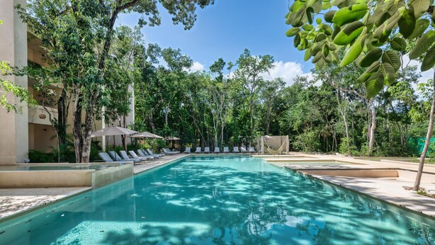 Una piscina rectangular rodeada de sillas de descanso y sombrillas, con árboles y un edificio al fondo.