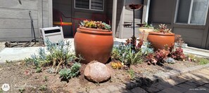 Property grounds - Boho-Chic Bungalow: 5 Mins to Downtown & Airport 
spacious one bedroom San Diego (San Diego)