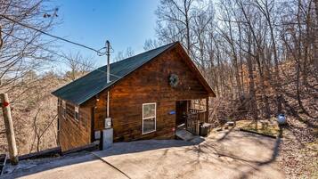 A wooden cabin with a metal roof, a front door, and a small porch.