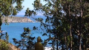 A natural landscape with trees, a rocky foreground, and a view of the ocean.