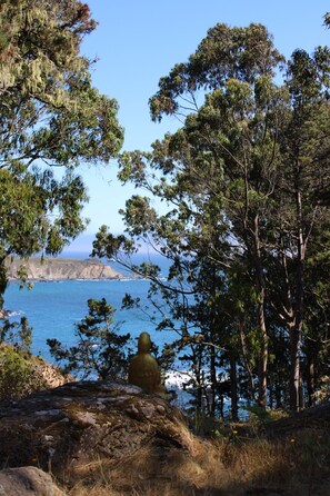 Miscellaneous - The Pelican Retreat, a rustic apartment with scenic ocean views! (Jenner)