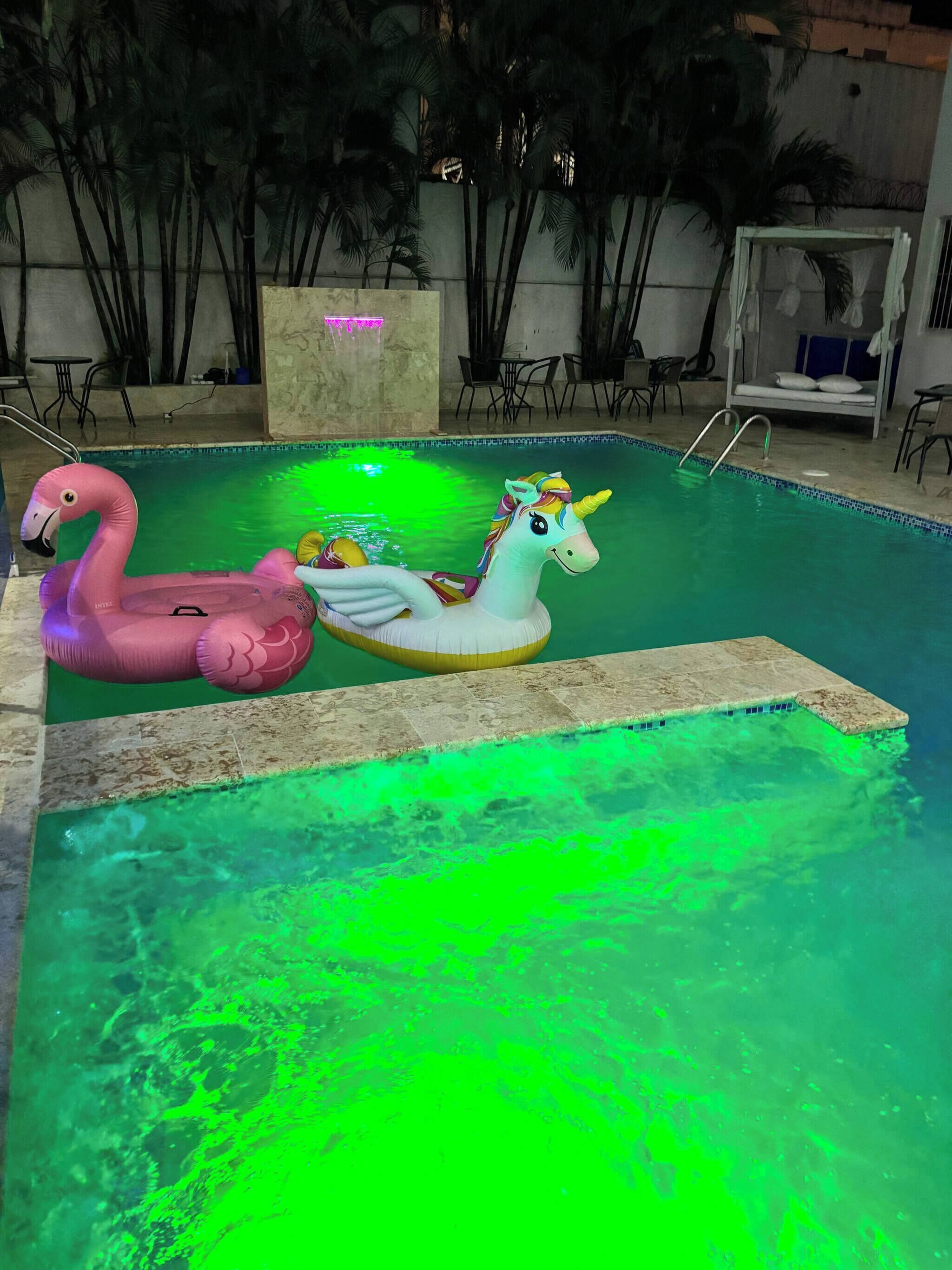 Appart'hôtel, 1 chambre, accessible aux personnes à mobilité réduite, patio | Piscine