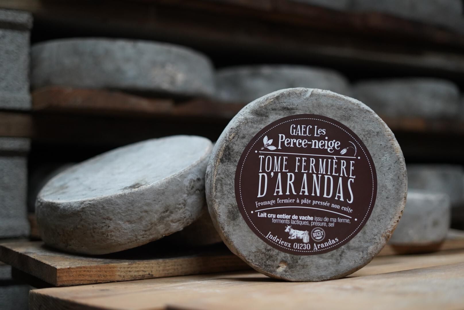 A round cheese wheel with a label, placed on a wooden surface with other cheese wheels in the background.