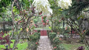 A garden pathway with a variety of plants and flowers, leading to a structure with a red roof. - Casa Familiar ubicada a minutos de Xetulul (Guatemala)