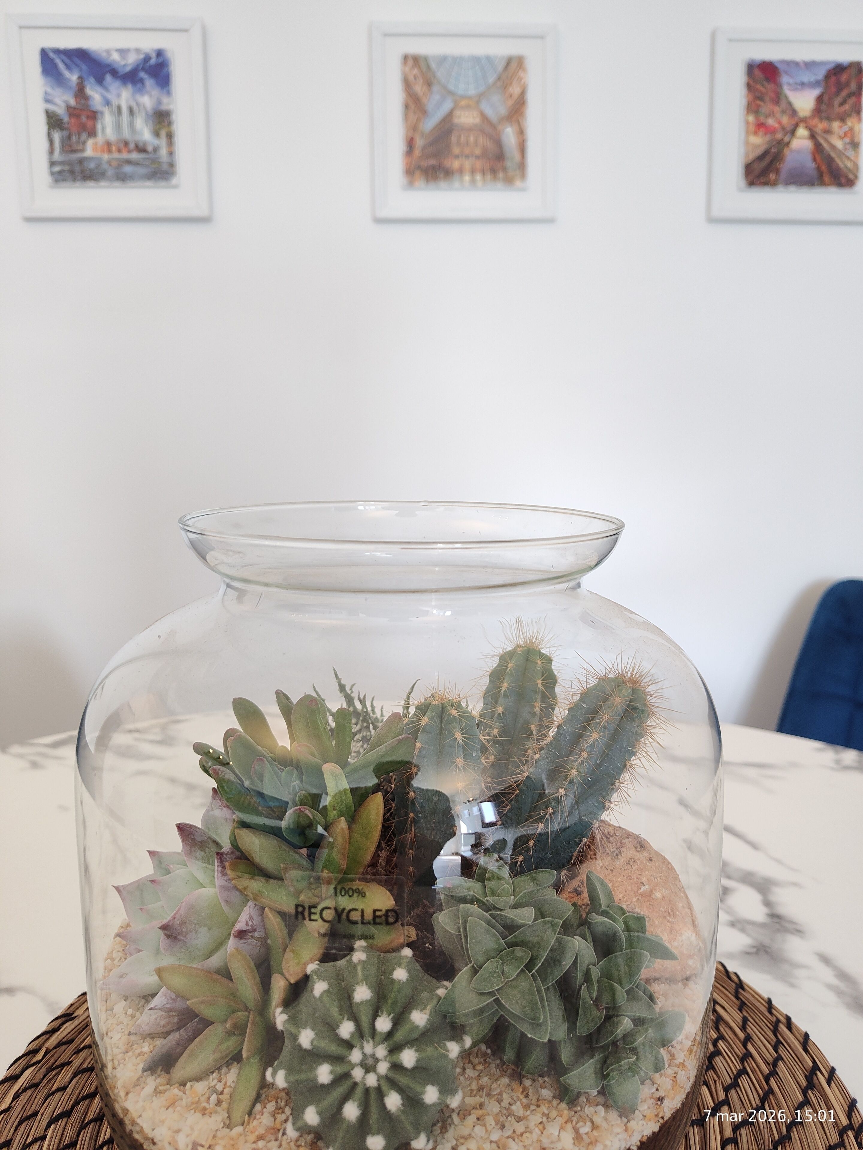 Ein klares Glas-Terrarium mit verschiedenen Sukkulenten und Kakteen, auf einer gewebten Matte platziert.
