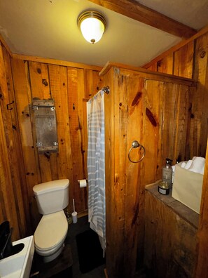 Bathroom - Cozy, Modern Black Cabin Retreat - Mins. to Cloudland Canyon & Lookout Mountain (Rising Fawn)