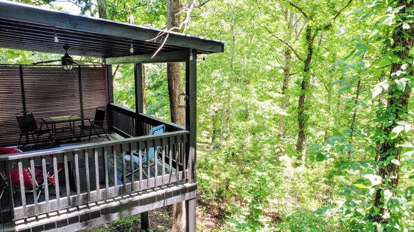 Property grounds - Cozy, Modern Black Cabin Retreat - Mins. to Cloudland Canyon & Lookout Mountain (Rising Fawn)