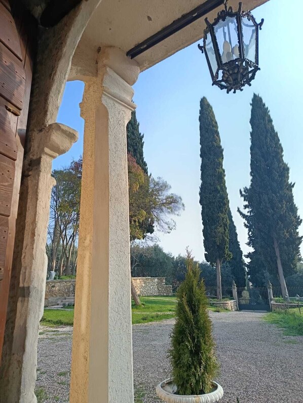 A courtyard with a gravel path, a small tree, and tall cypress trees in the background. - Villa Dorigny Dimora Storica (Verona)