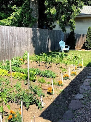 A garden with raised beds and a chair.