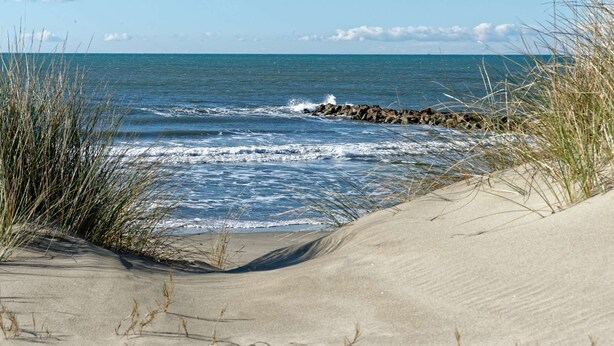 A beach with sand dunes and a rocky outcrop in the ocean. - Cozy house near the sea with terrace, air conditioning, and parking (LE GRAU DU ROI)