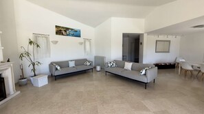 Ein großzügiger Wohnraum mit zwei grauen Sofas, einer Zimmerpflanze, einem Kamin und einem Essbereich mit Stühlen.