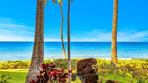 Un paysage tropical avec des palmiers, un grand rocher et une vue sur l’océan.