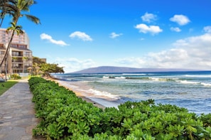 A coastal hotel with a paved walkway, lush greenery, and ocean views. - Kaanapali Shores | Ocean View 4 BR, Sleeps 12 | Car Incl. w/ 6+ Nights | KS ML-3677 by KBM (Lahaina)