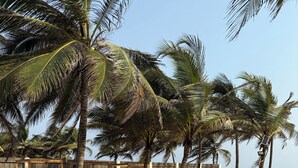 A swimming pool with clear blue water, surrounded by palm trees and a sandy beach. - Atlantic Shores Resort (Lagos)