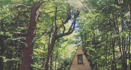 Secluded A Frame Cabin, On 27 Acres by the Lake