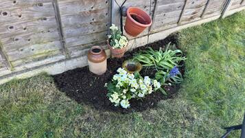 Room, 1 Bedroom | Garden