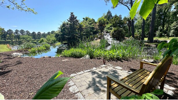 Un banc et un étang au Bay Creek Resort.