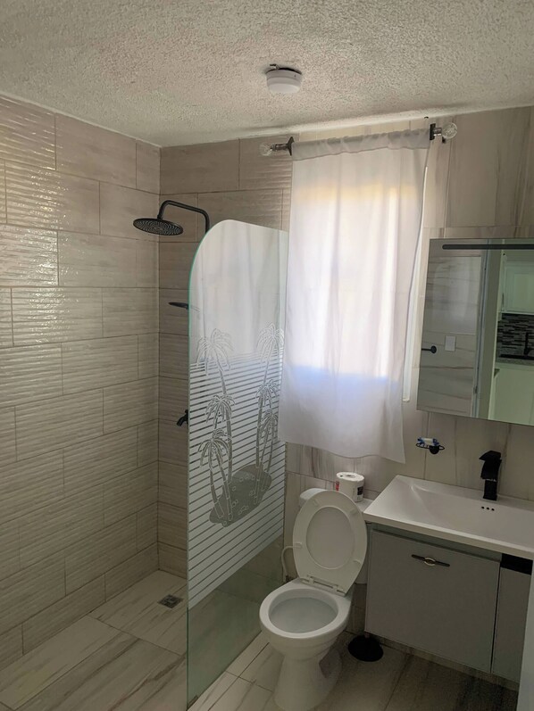 Un baño con ducha de vidrio, inodoro, lavamanos y espejo.