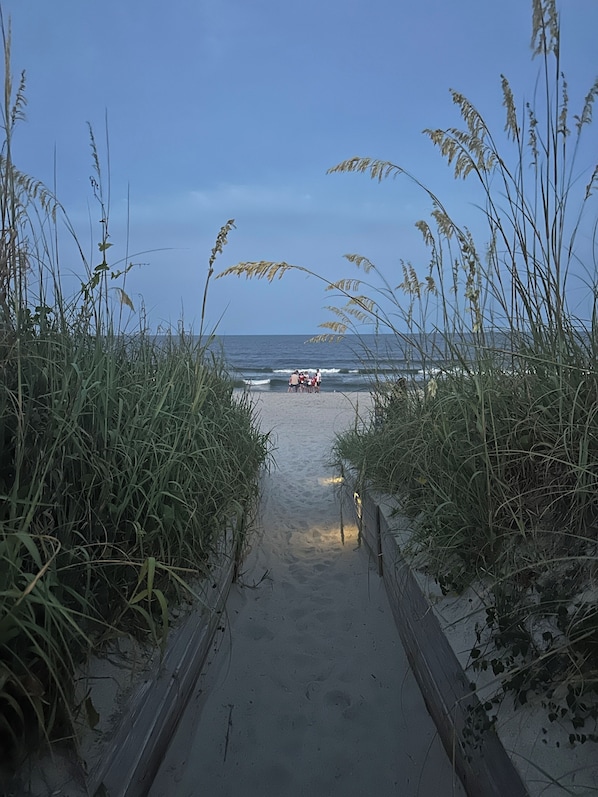 Ein Pfad führt zu einem Strand, der von hohem Gras gesäumt ist.