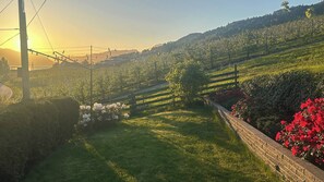 Habitación, 3 habitaciones, patio | Jardines del alojamiento