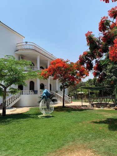 Private Garden Oasis Near the Pyramids in Giza, 1000