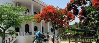 Private Garden Oasis Near the Pyramids in Giza, 1000