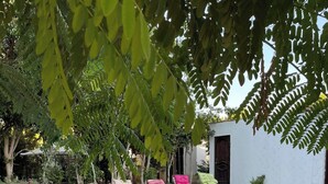 A swimming pool with lounge chairs and a table, surrounded by a garden and a white building with a dark door.