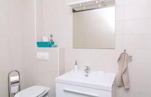 Regadera y secadora de cabello 