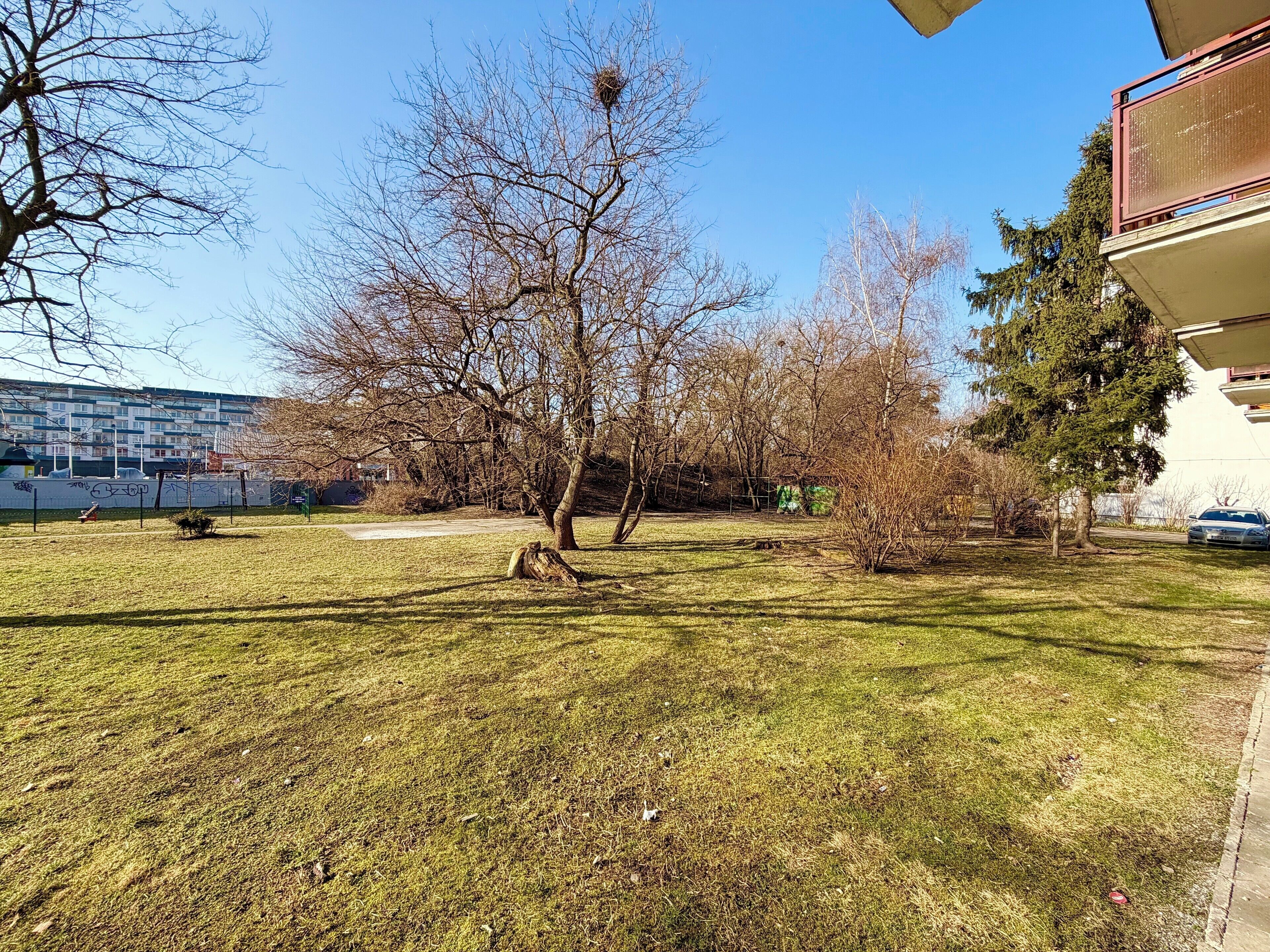 A grassy park area with trees, a clear sky, and a building in the background.
