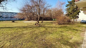 Un espace vert avec de l’herbe, des arbres, un ciel dégagé et un bâtiment en arrière-plan.
