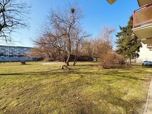 Eine parkähnliche Grünfläche mit Bäumen, blauem Himmel und einem Gebäude im Hintergrund.